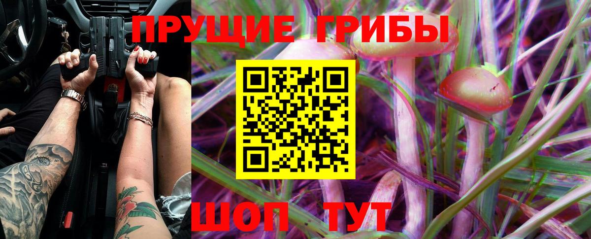 Губкинский  Псилоцибиновые грибы прущие грибы  Вход с VPN  Галлюциногенные грибы Psilocybe 