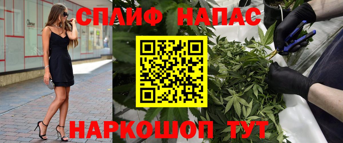 Шишки марихуана семена Губкинский